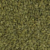 High-Quality Pumpkin Seeds - Shop Now at Sindhi Dry Fruits Online